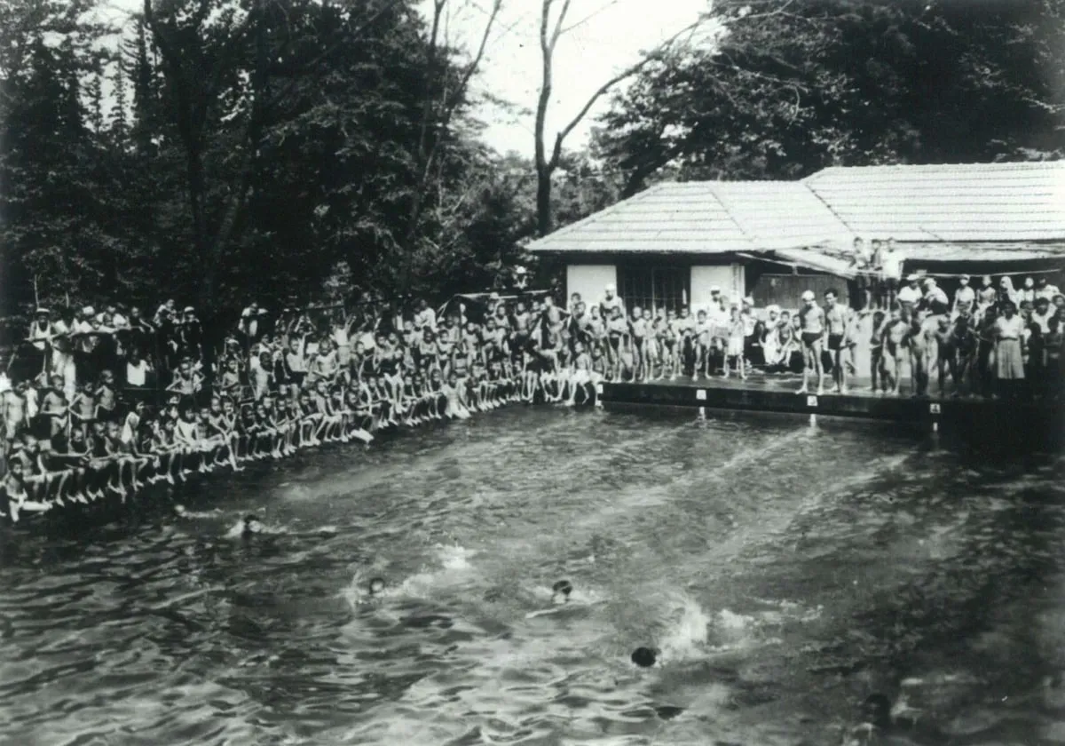 井の頭恩賜公園プール（第11回三鷹市少年水泳大会）の画像
